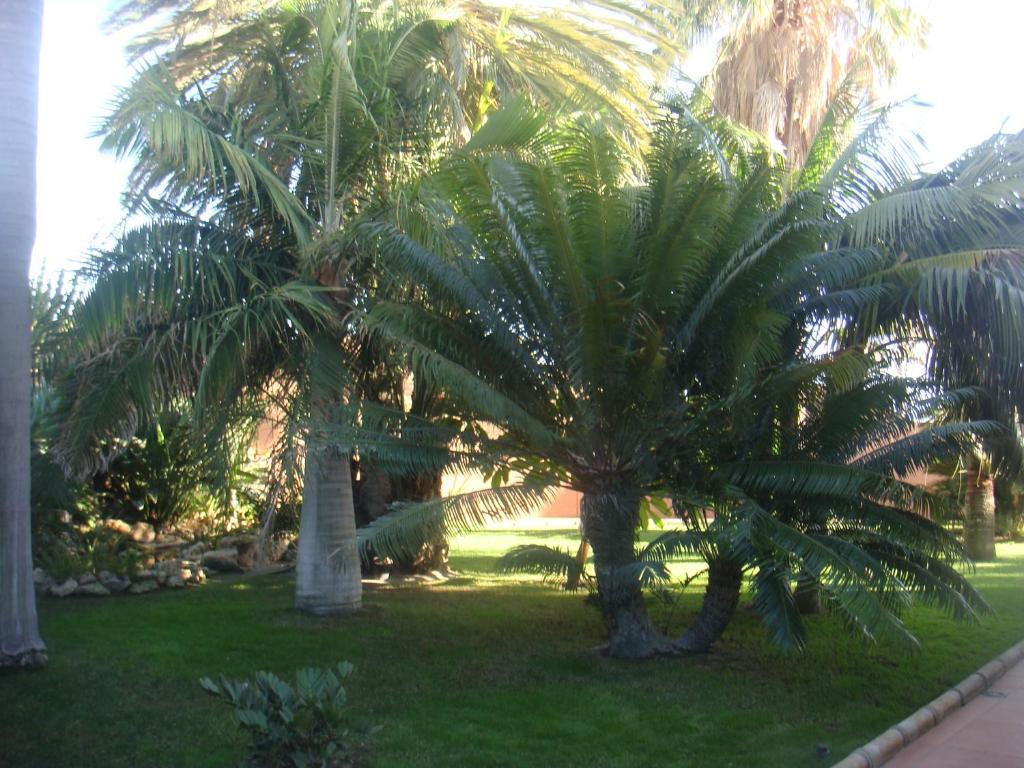 Villa Al Alba Torre Del Mar Extérieur photo