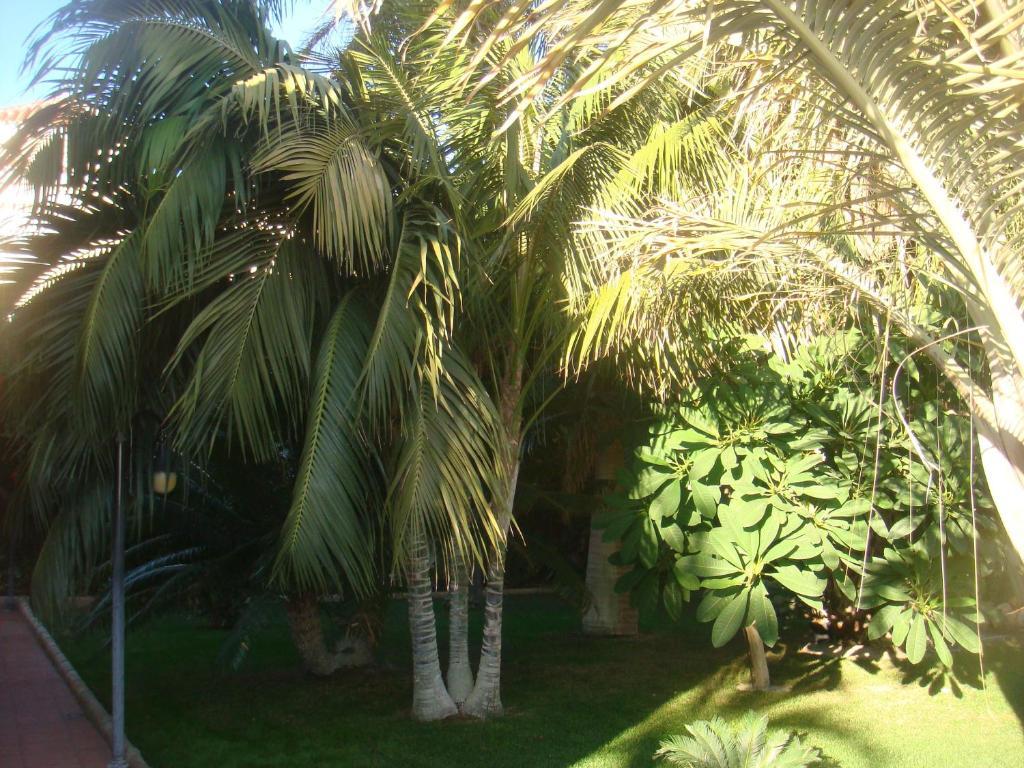 Villa Al Alba Torre Del Mar Extérieur photo